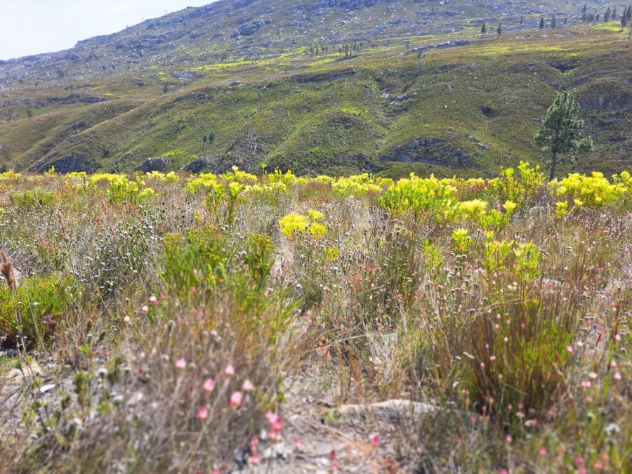 7 Bedroom Property for Sale in Riversdale Rural Western Cape